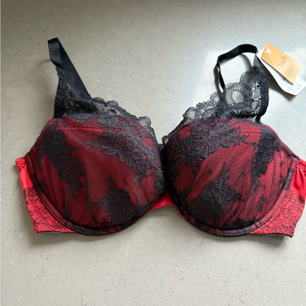 BNWT CHANTELLE PADDED LACE BRA, SIZE 38DD